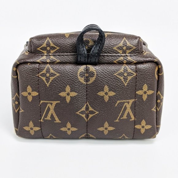 SOLD Louis Vuitton Palm Springs Mini Backpack - Picture 4 of 9